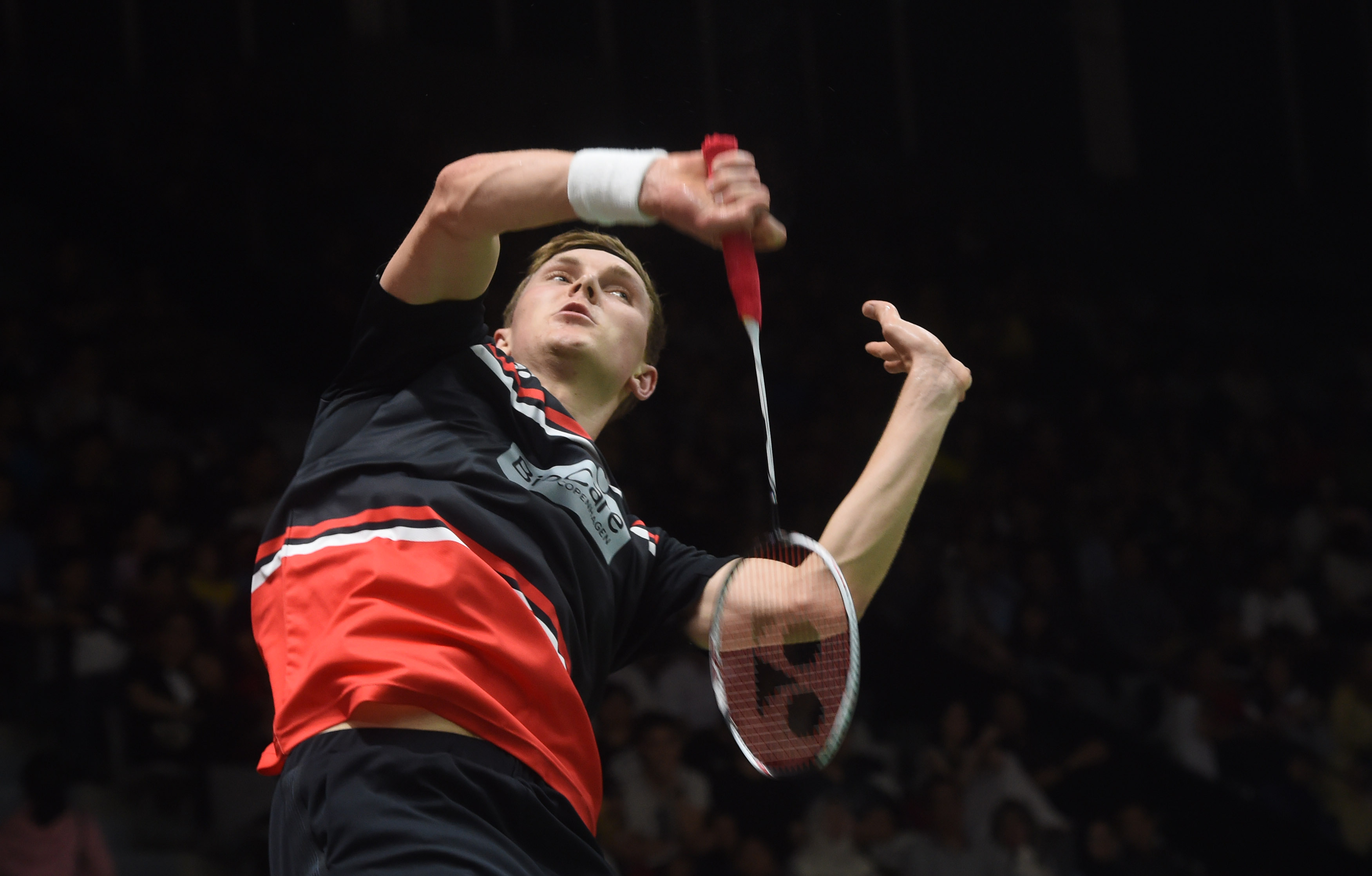 抓鸟的机会 抓鸟的机会